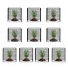 10 Pack Plant Protector from Animals, 12'' x 12'' Chicken Wire Plant Protector, Plant Cages for Outdoor Plants, Flowers & Vegetables